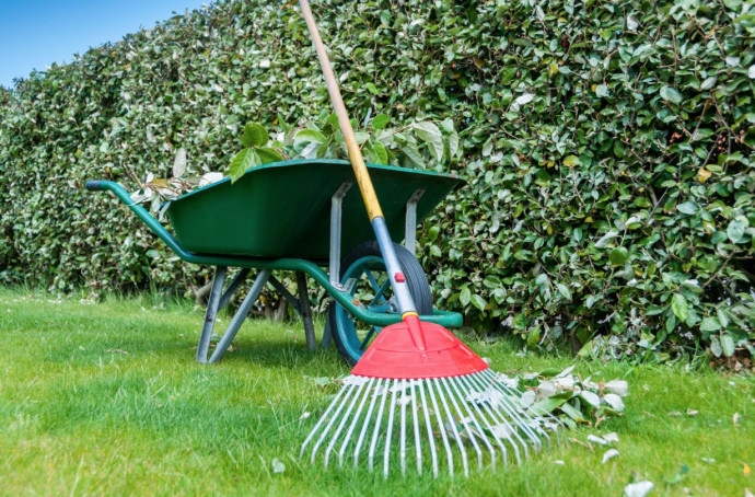 Early Summer Lawn Care: Guide & Tips Early Summer Lawn Care: Guide & Tips