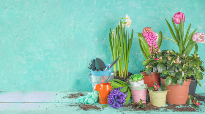 April Gardening To-Do List April Gardening To-Do List