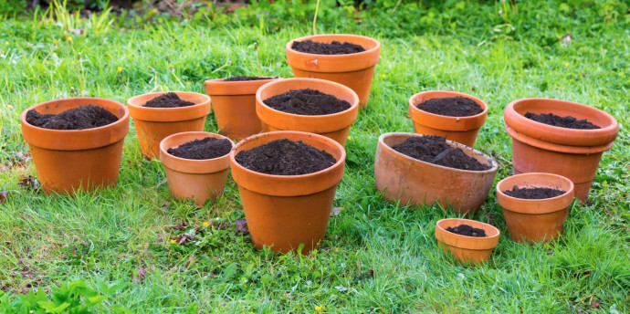 14 Outdoor Plant Container Tips 14 Outdoor Plant Container Tips
