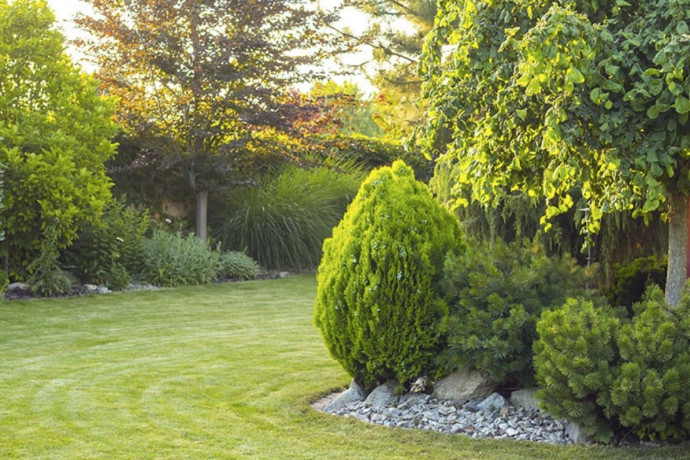 14 Tips & Tricks for Perfect Hedges & Trees