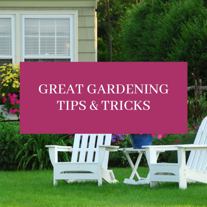 10 Great Gardening Tips & Tricks