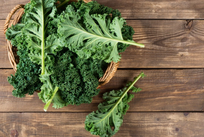 Companion Planting: Vegetables. Part 3 Companion Planting: Vegetables. Part 3