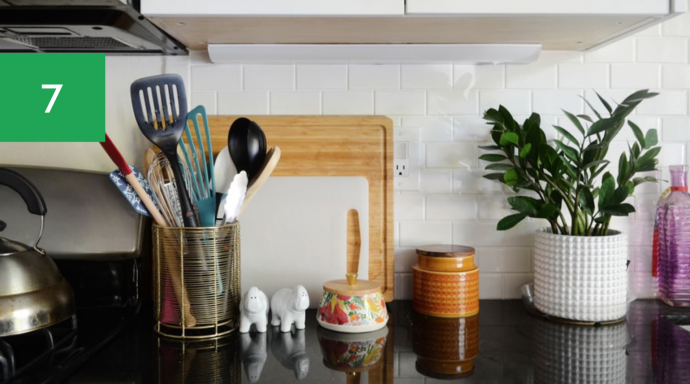 7 Best Houseplants for Your Kitchen