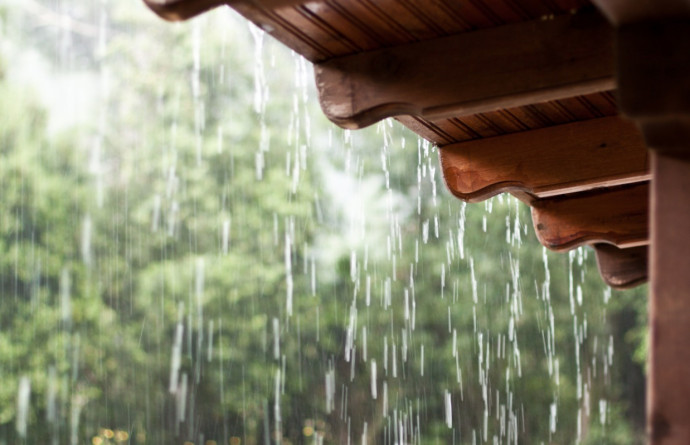 How to Harvest Rainwater