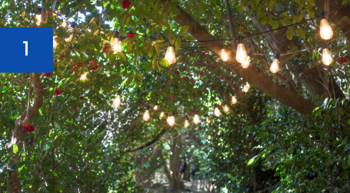 Outdoor Lighting Ideas