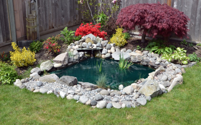 10 Tips for a Perfect Backyard Pond 10 Tips for a Perfect Backyard Pond
