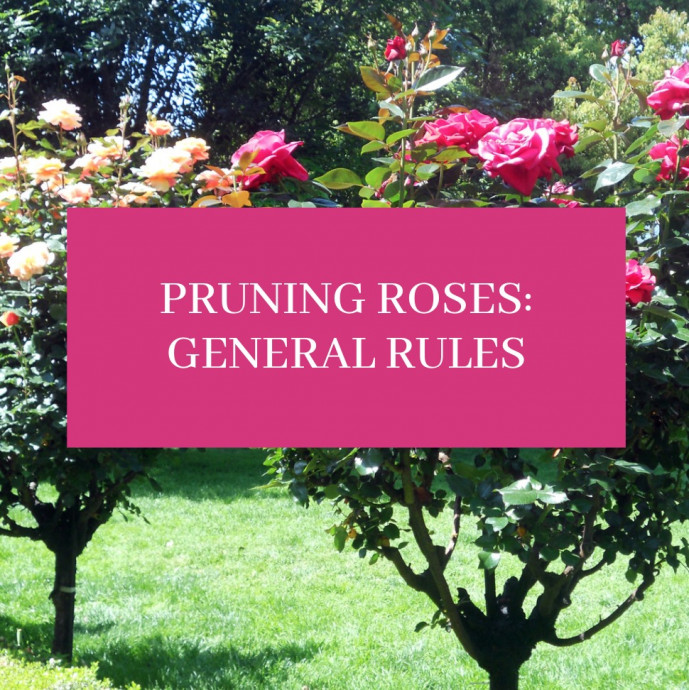 Pruning Roses: General Rules