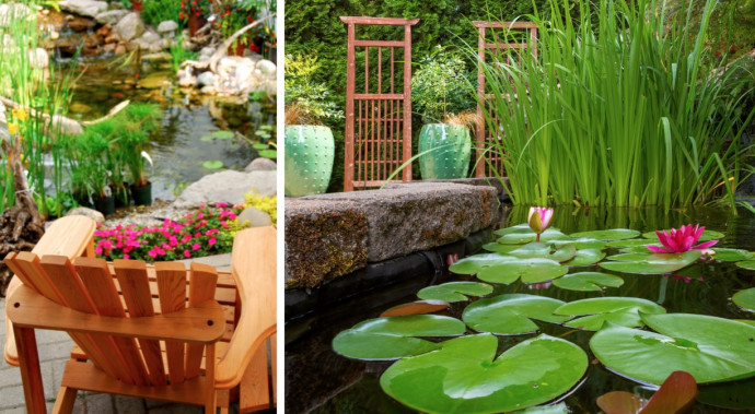 10 Tips for a Perfect Backyard Pond