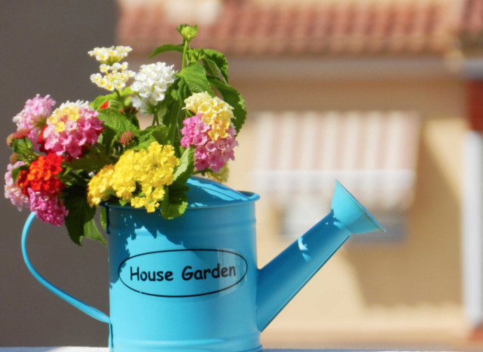 9 Incredibly Useful Hints for Yard & Garden