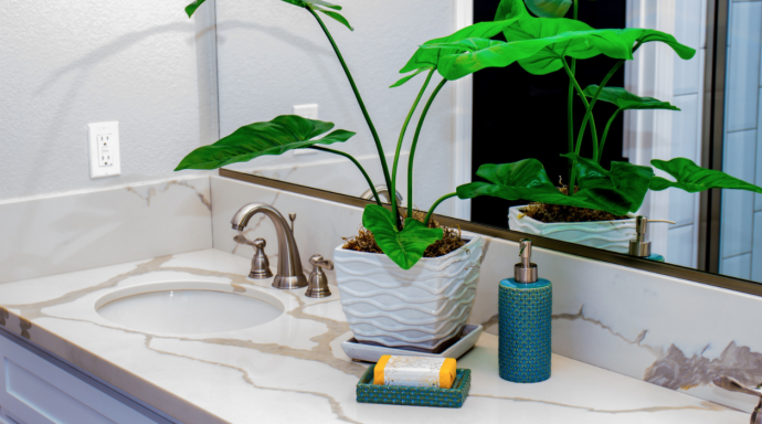 8 Best Bathroom Plants: High Humidity Plants