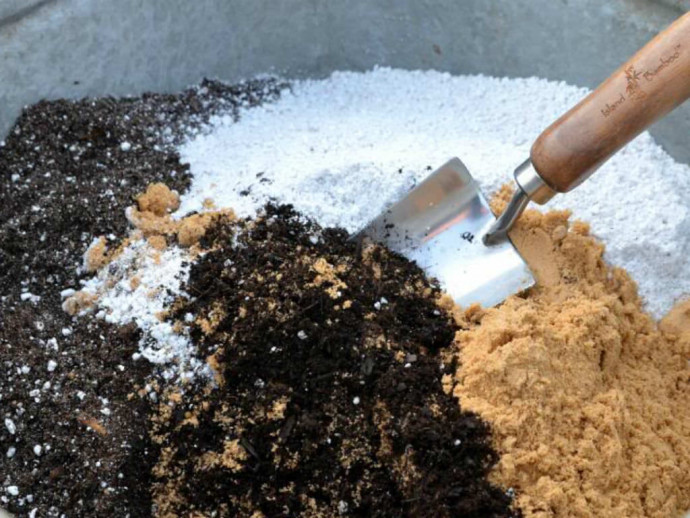 Homemade All-Purpose Potting Soil Mix Recipe