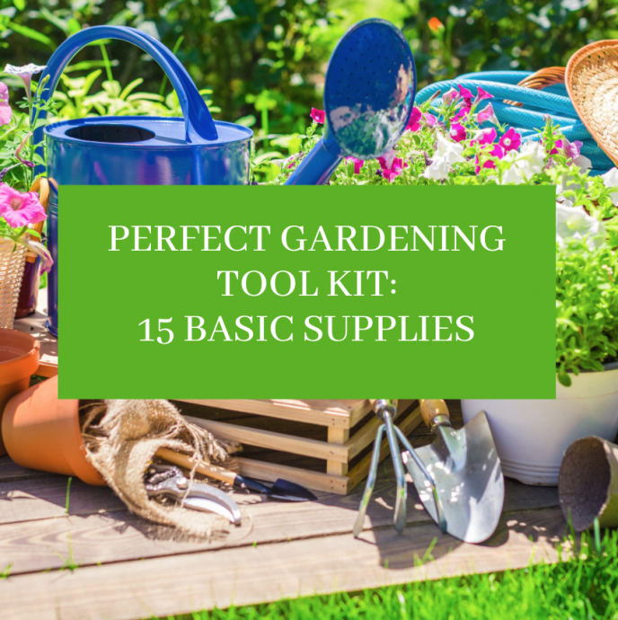 10 Basis Tools & Supplies For Your Garden