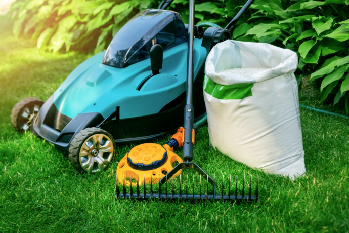 Common Lawn Care Mistakes