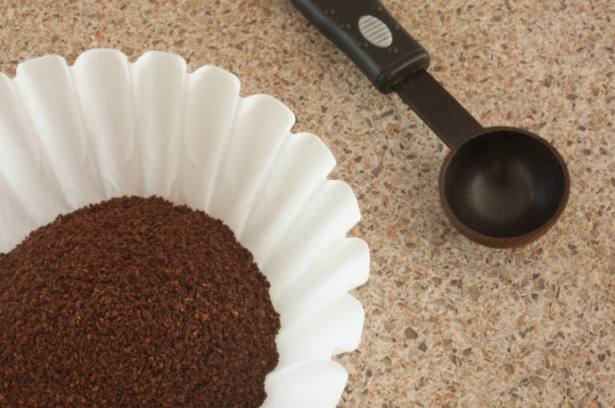 10 Kitchen Leftovers That are Good for Your Plants 10 Kitchen Leftovers That are Good for Your Plants
