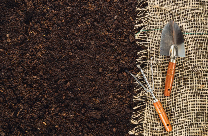 How to Take a No-Cost Soil Ph Test