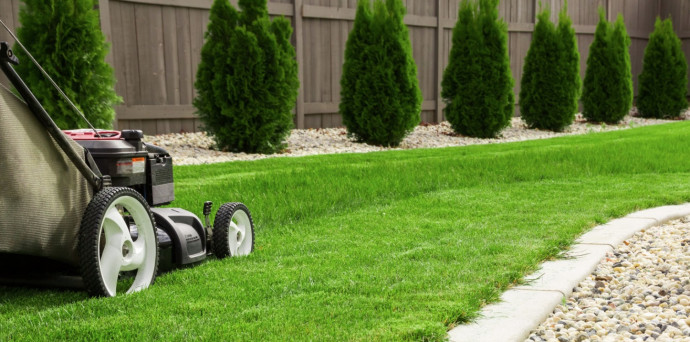 Lawn Care Tips For Beginners