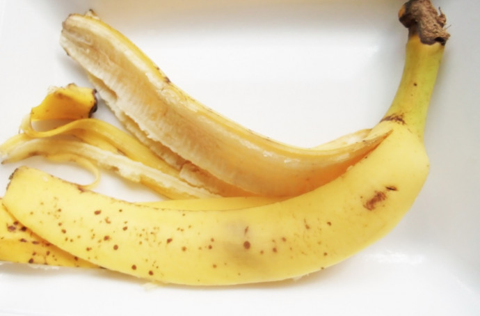 10 Kitchen Leftovers That are Good for Your Plants 10 Kitchen Leftovers That are Good for Your Plants