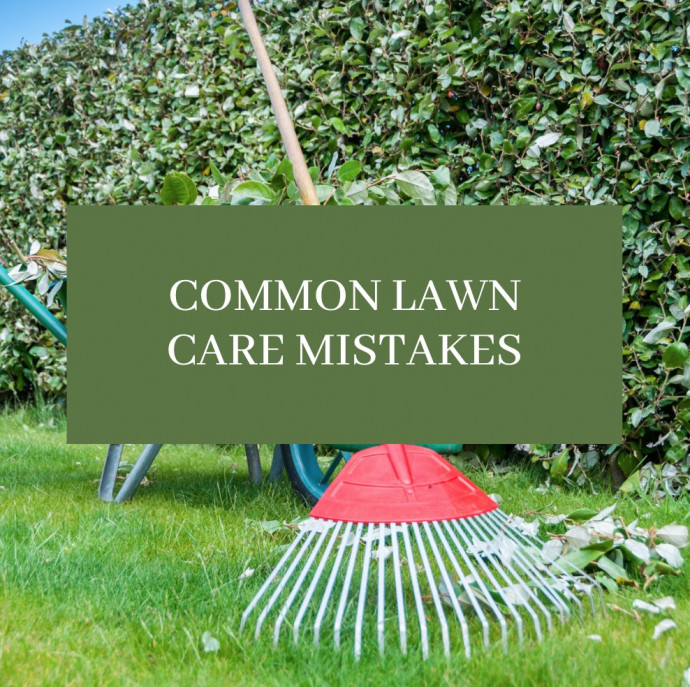 Common Lawn Care Mistakes