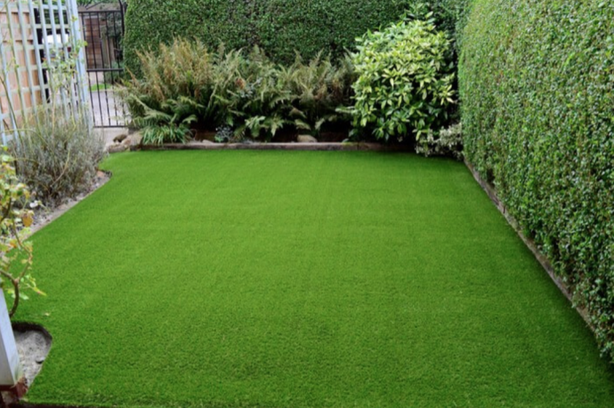 Lawn Care Tips For Beginners