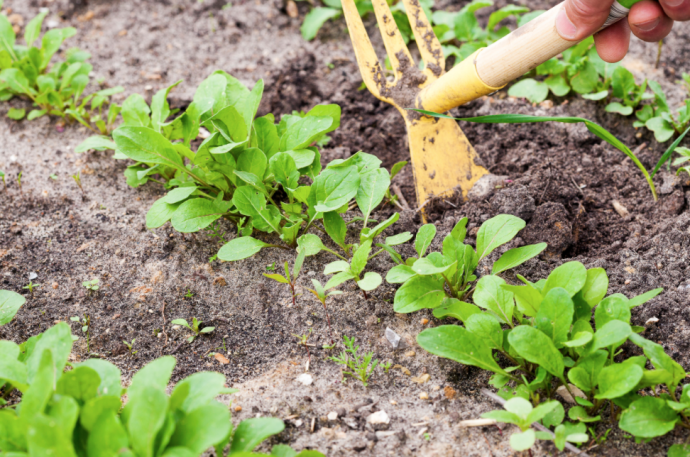 5 Time Saving Solutions For Gardeners