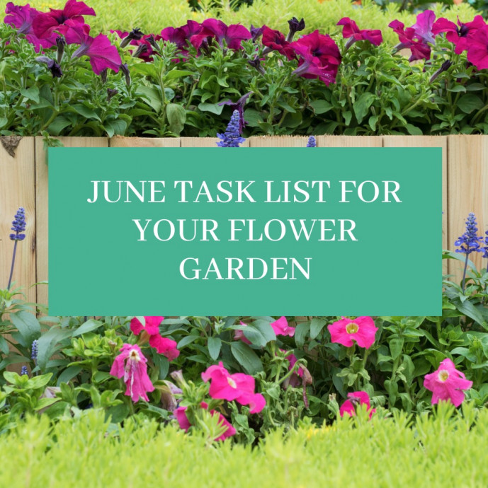 June Task List For Your Flower Garden