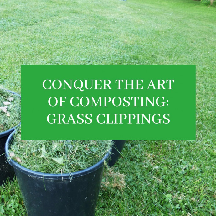 Conquer the Art of Composting: Grass Clippings