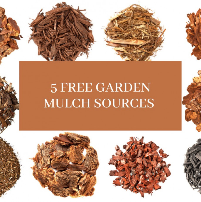 5 Free Garden Mulch Sources