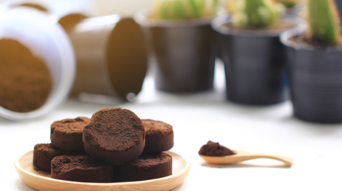 How to Use Coffee Grounds in Your Garden How to Use Coffee Grounds in Your Garden