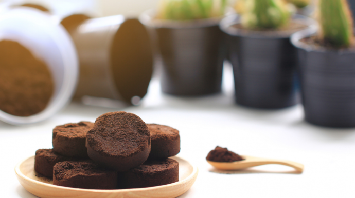 How to Use Coffee Grounds in Your Garden