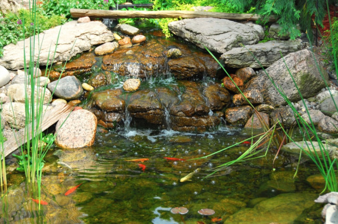 10 Tips for a Perfect Backyard Pond